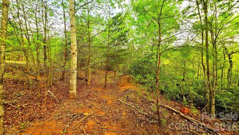 Lot 59 Bear Cliff Way Lake Lure NC 28746