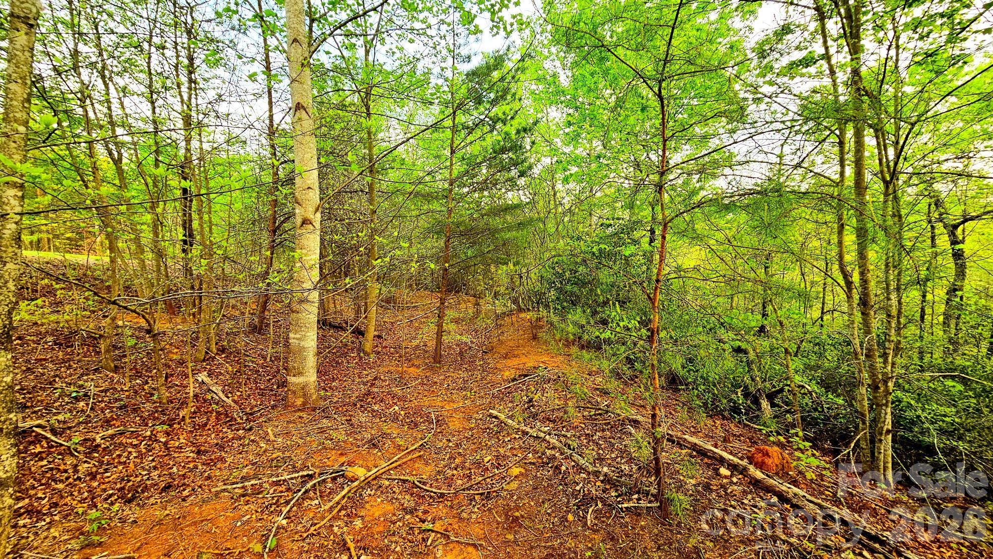 Lot 59 Bear Cliff Way Lake Lure NC 28746