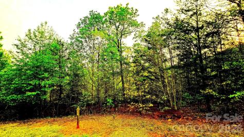 Lot 59 Bear Cliff Way Lake Lure NC 28746
