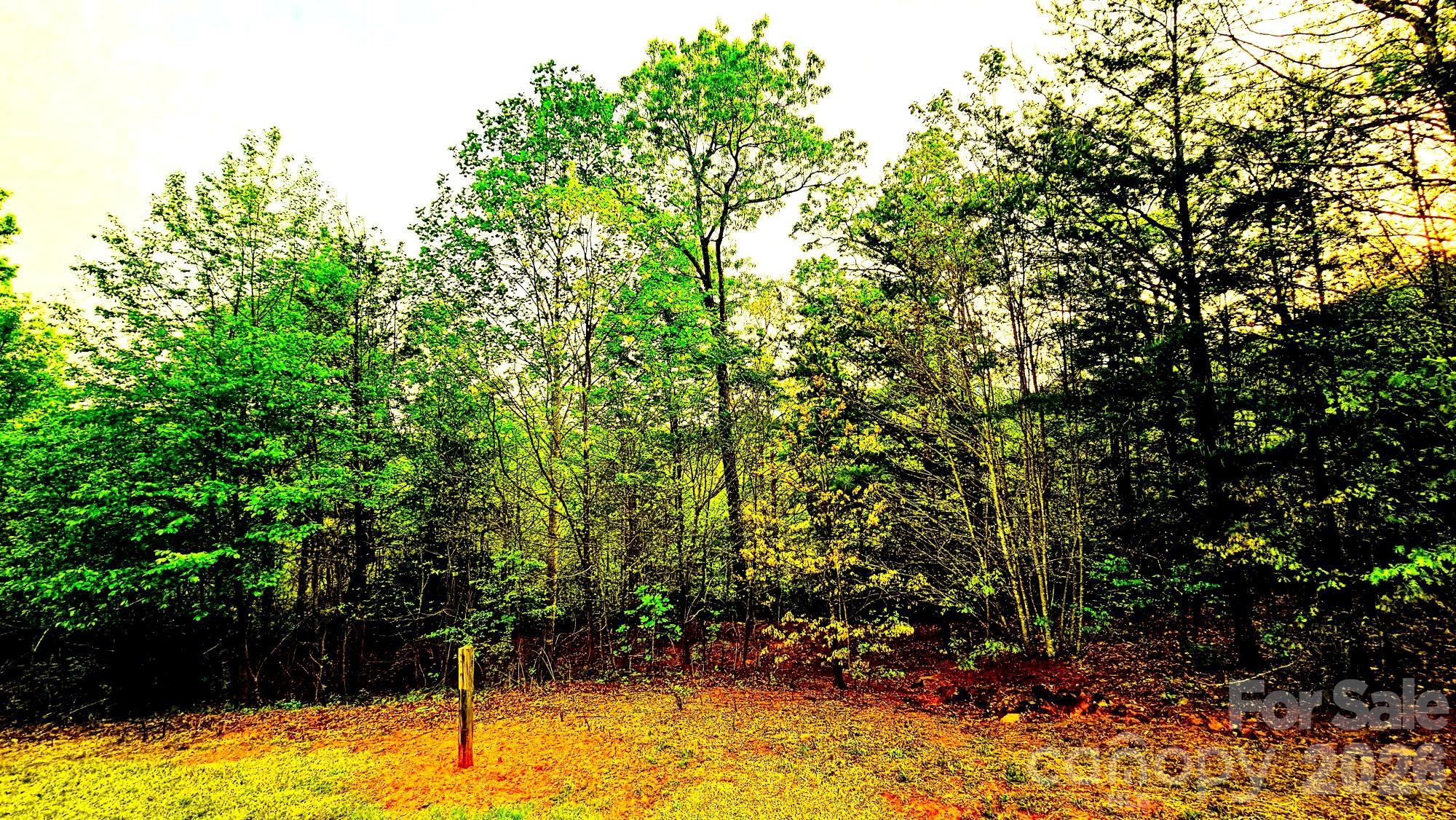 Lot 59 Bear Cliff Way Lake Lure NC 28746