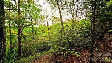 Lot 59 Bear Cliff Way Lake Lure NC 28746