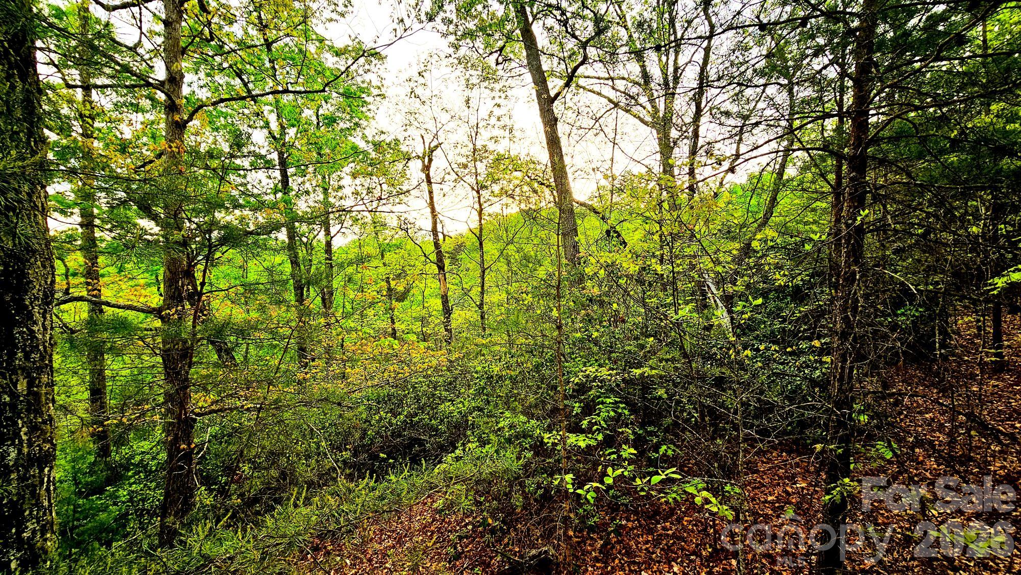 Lot 59 Bear Cliff Way Lake Lure NC 28746