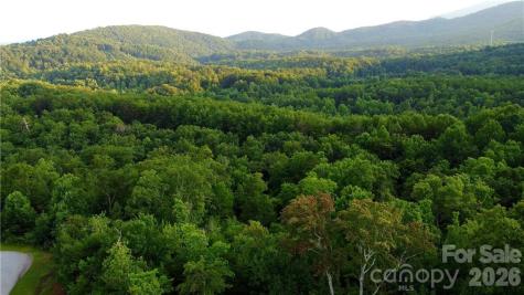 Lot 59 Bear Cliff Way Lake Lure NC 28746