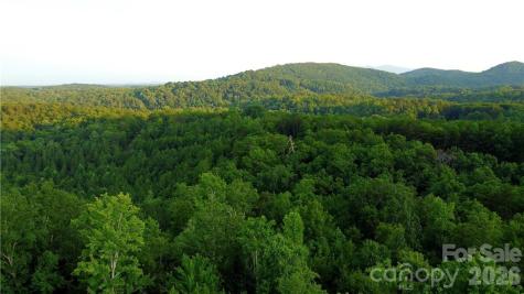 Lot 59 Bear Cliff Way Lake Lure NC 28746