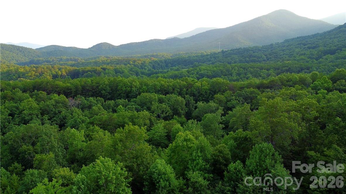 Lot 59 Bear Cliff Way Lake Lure NC 28746
