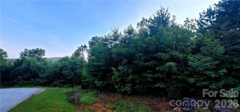 Lot 59 Bear Cliff Way Lake Lure NC 28746