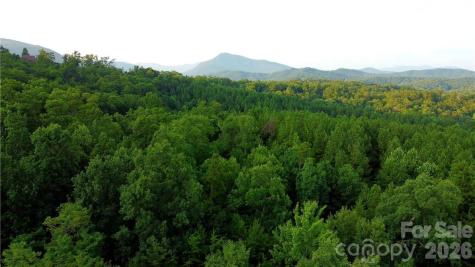 Lot 59 Bear Cliff Way Lake Lure NC 28746
