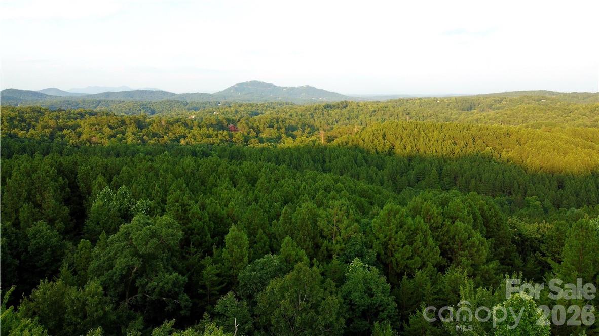 Lot 59 Bear Cliff Way Lake Lure NC 28746