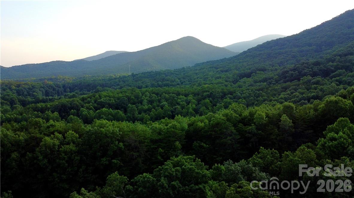 Lot 59 Bear Cliff Way Lake Lure NC 28746