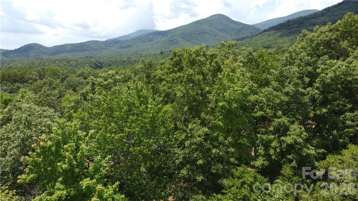 Lot 59 Bear Cliff Way Lake Lure NC 28746