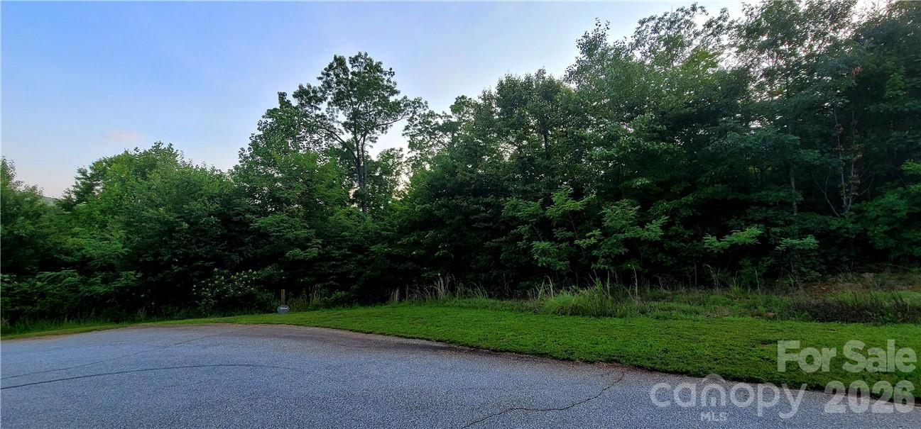 Lot 59 Bear Cliff Way Lake Lure NC 28746