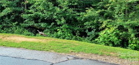 Lot 59 Bear Cliff Way Lake Lure NC 28746
