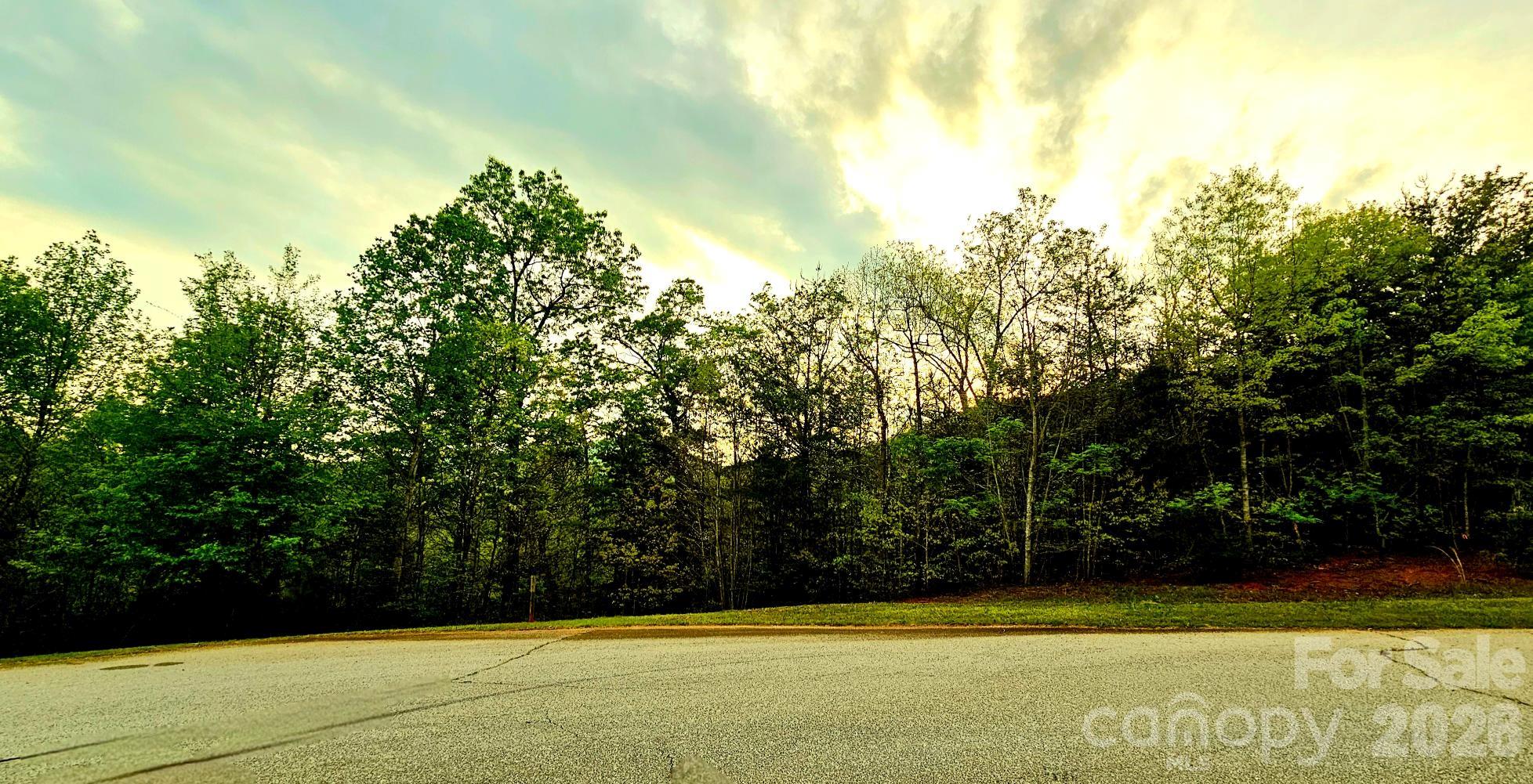 Lot 59 Bear Cliff Way Lake Lure NC 28746