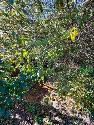 368 Chestnut Street Rock Hill SC 29730