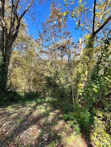 368 Chestnut Street Rock Hill SC 29730