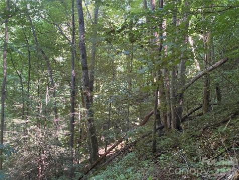 0000 Big Laurel Road Marshall NC 28753