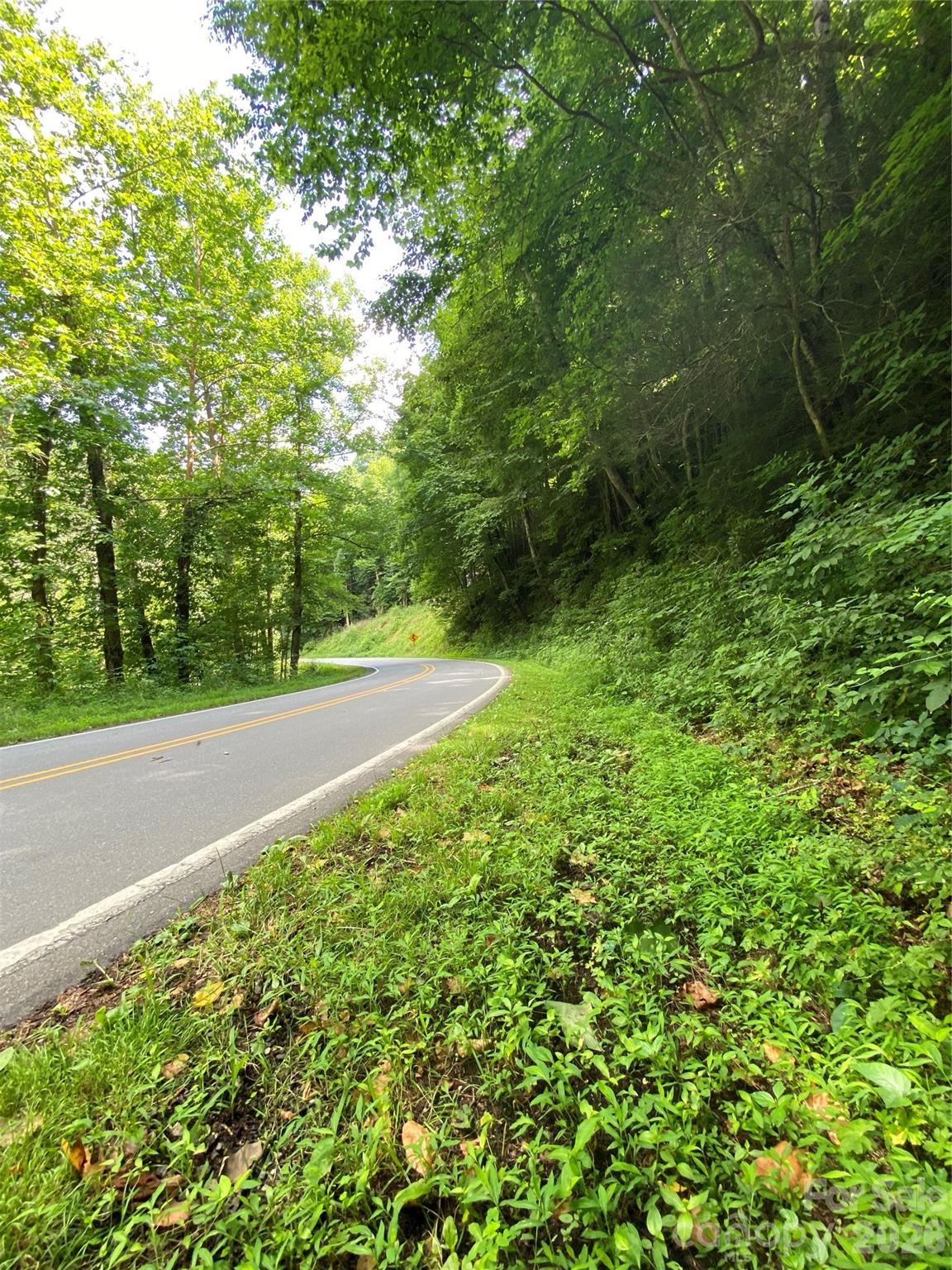 0000 Big Laurel Road Marshall NC 28753