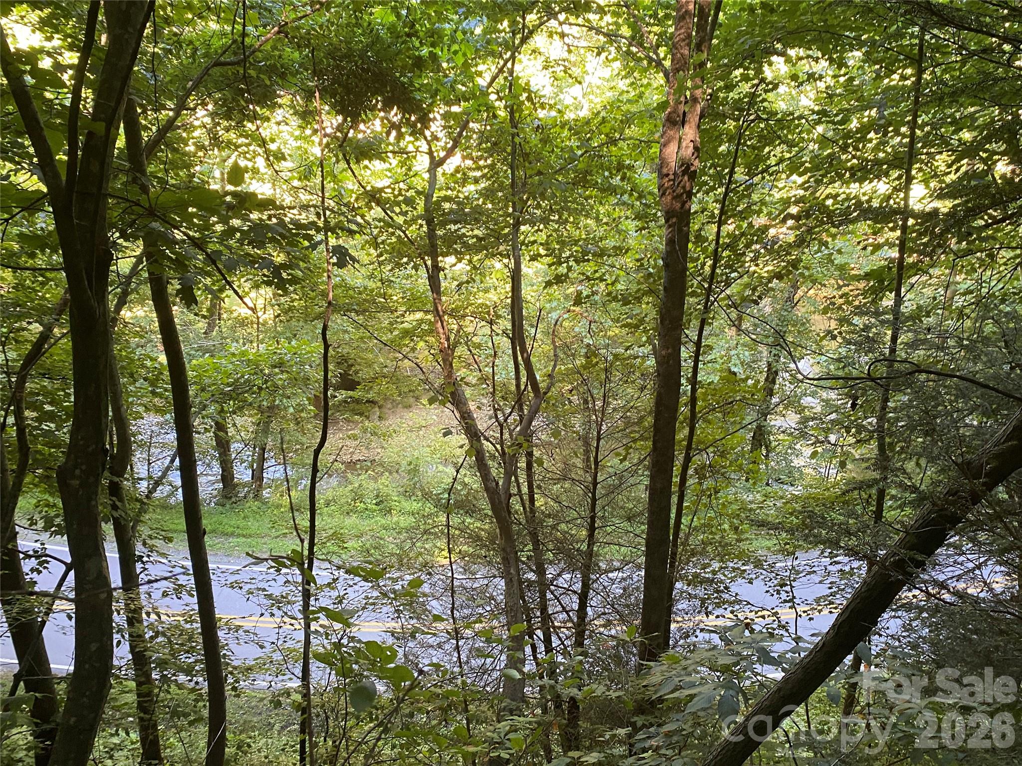 0000 Big Laurel Road Marshall NC 28753