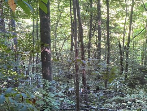 0000 Big Laurel Road Marshall NC 28753