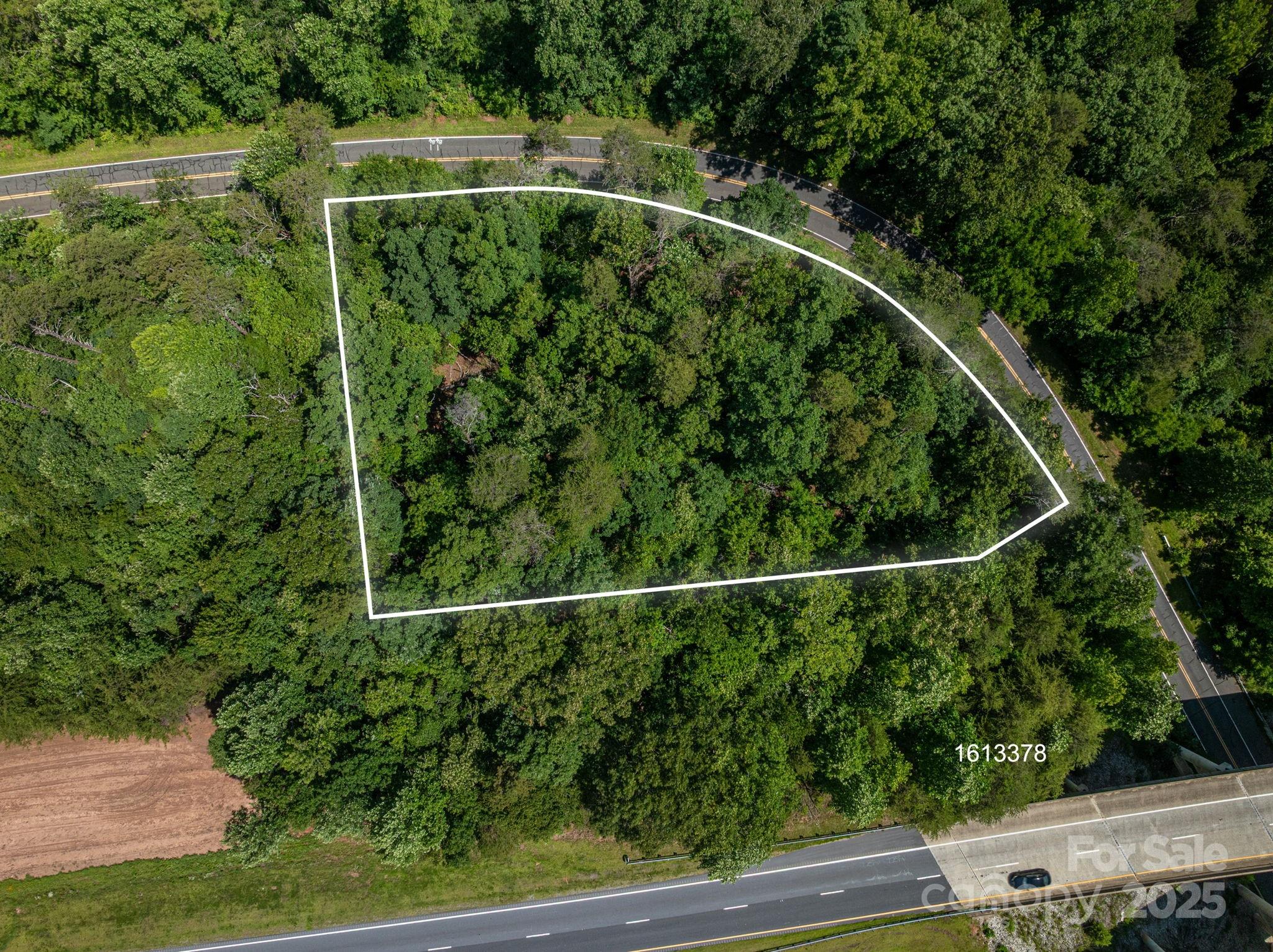 Lot 3 Cleghorn Mill Road Rutherfordton NC 28139