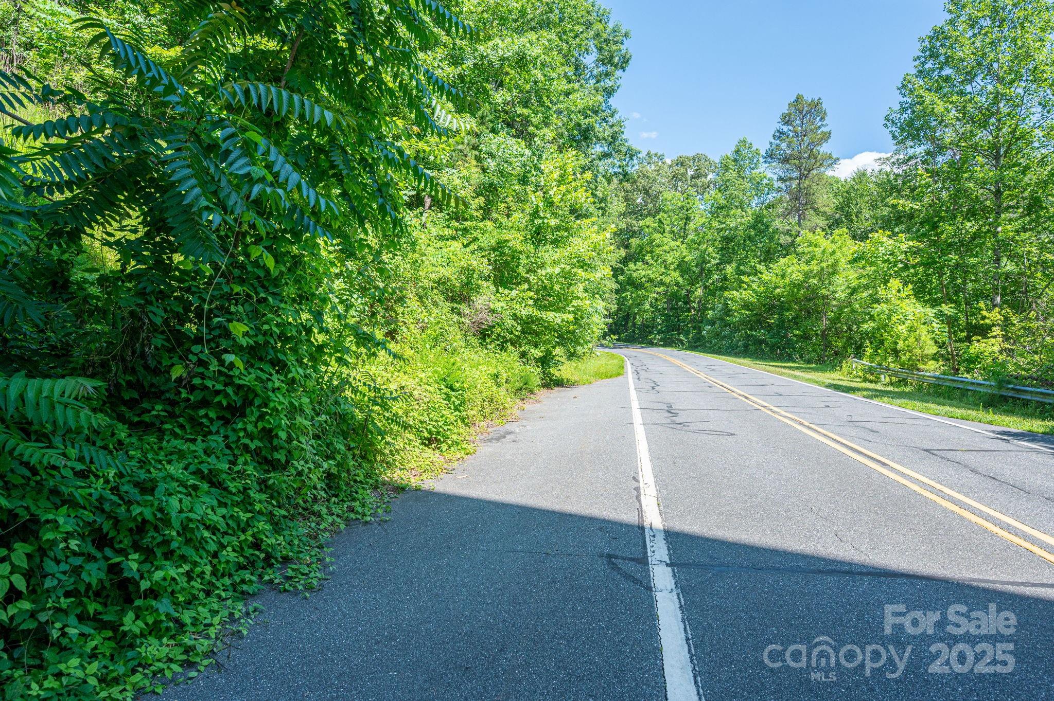 Lot 3 Cleghorn Mill Road Rutherfordton NC 28139