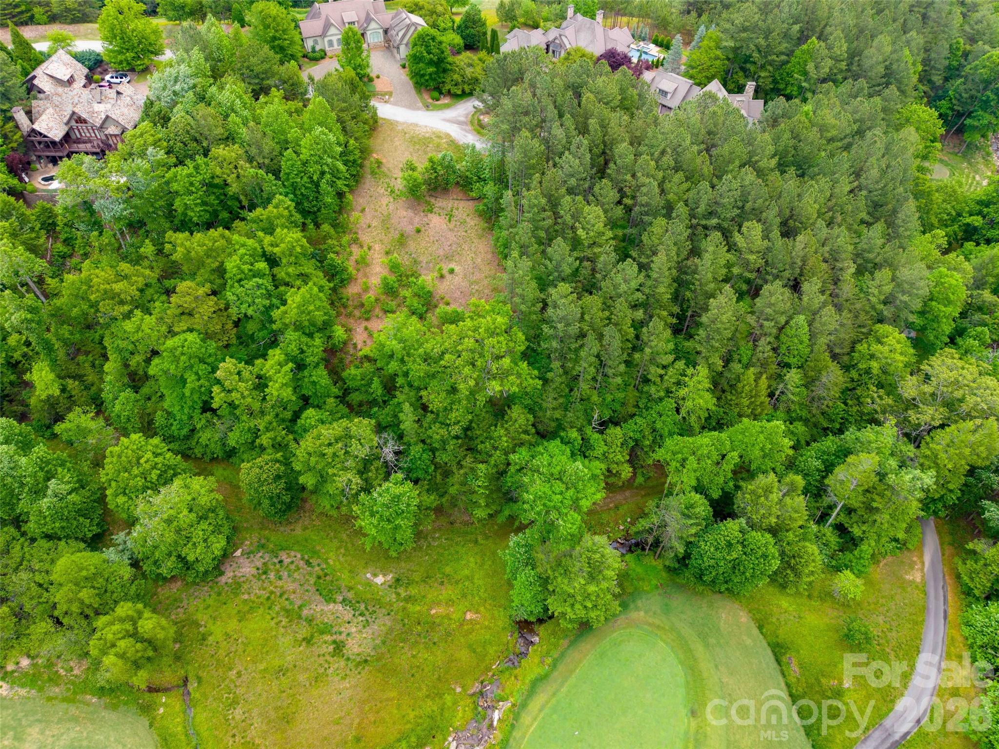 Lot 73 Chestertown Drive Mill Spring NC 28756