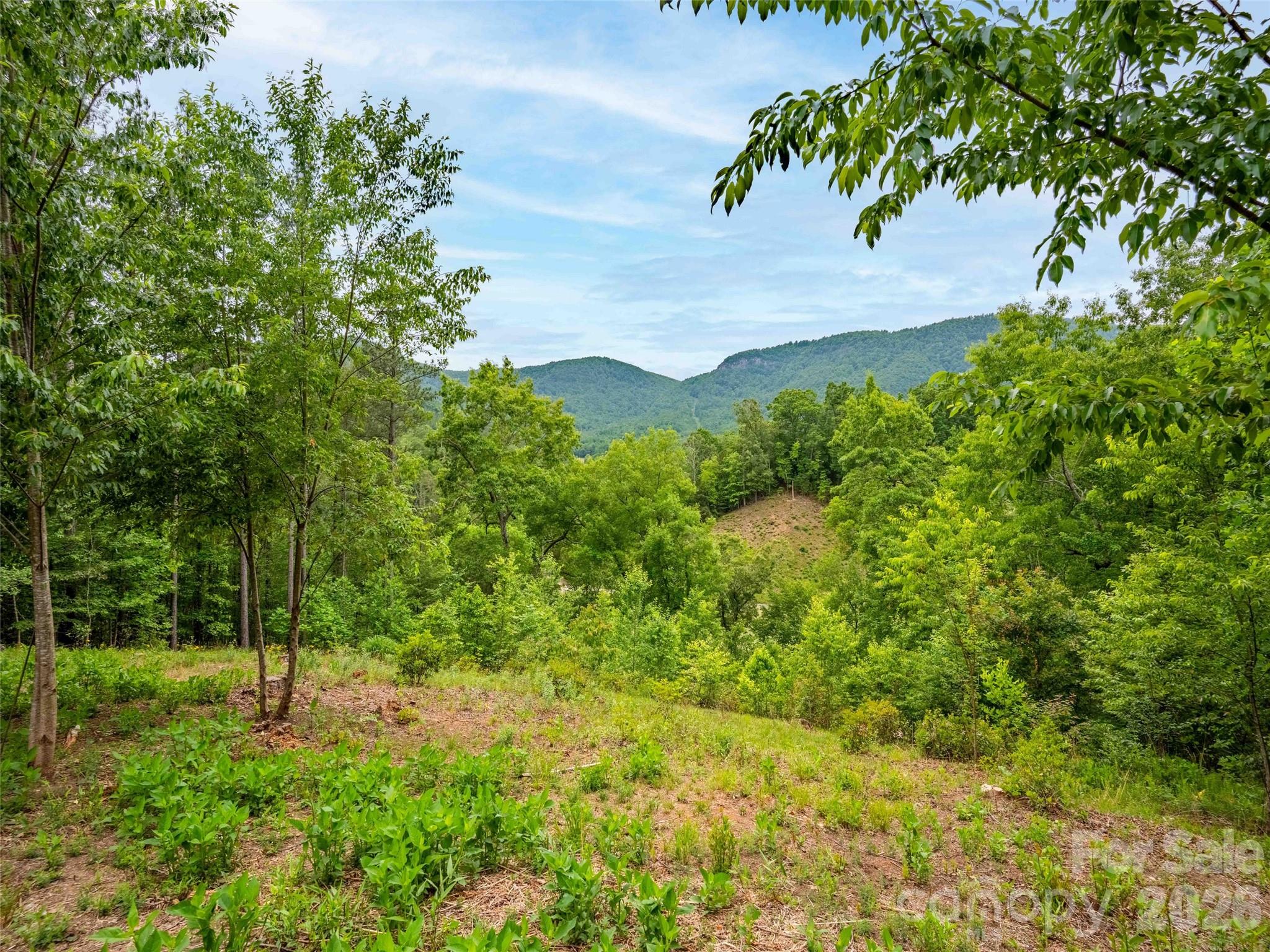 Lot 73 Chestertown Drive Mill Spring NC 28756