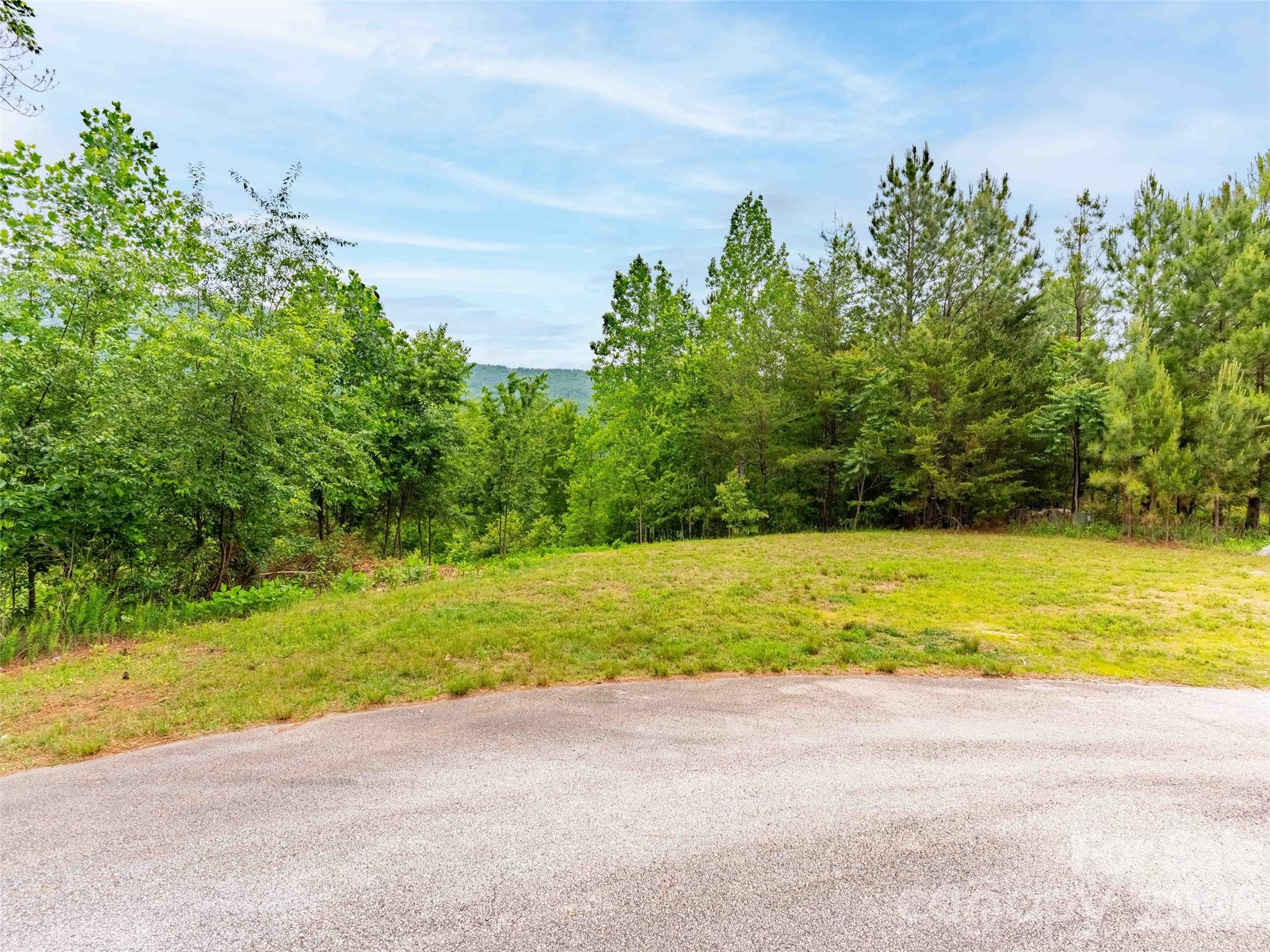 Lot 73 Chestertown Drive Mill Spring NC 28756