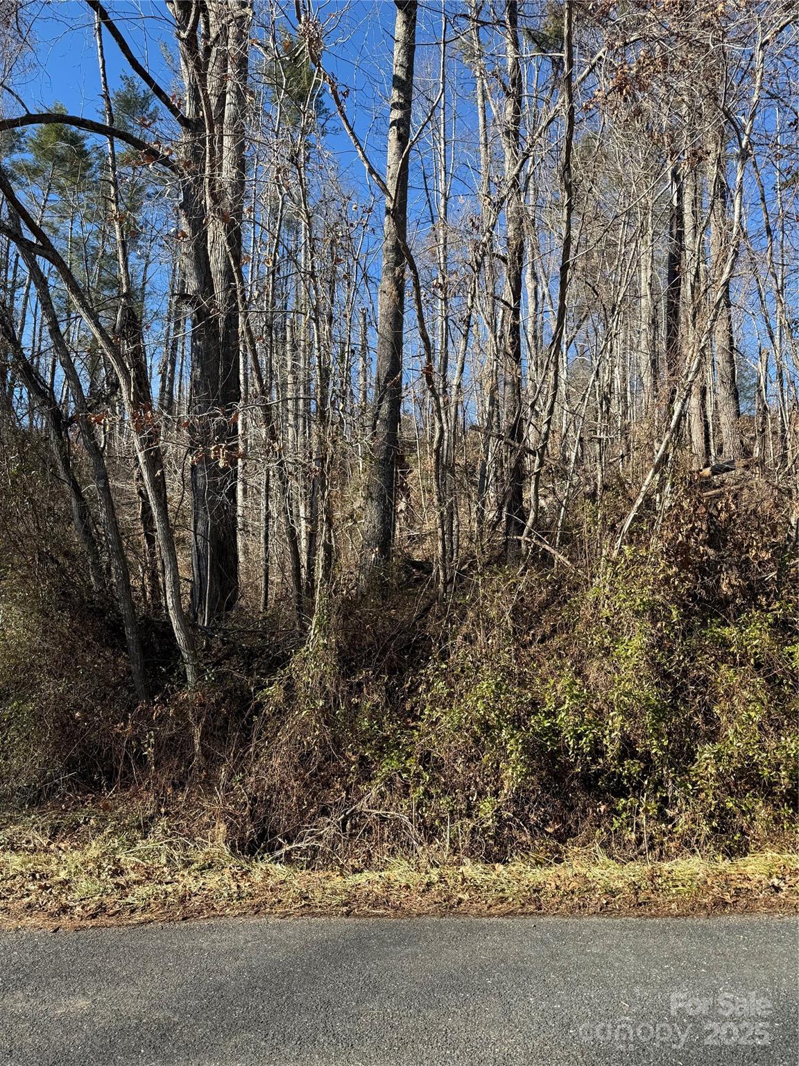 Tbd George Mckinney Circle Spruce Pine NC 28777