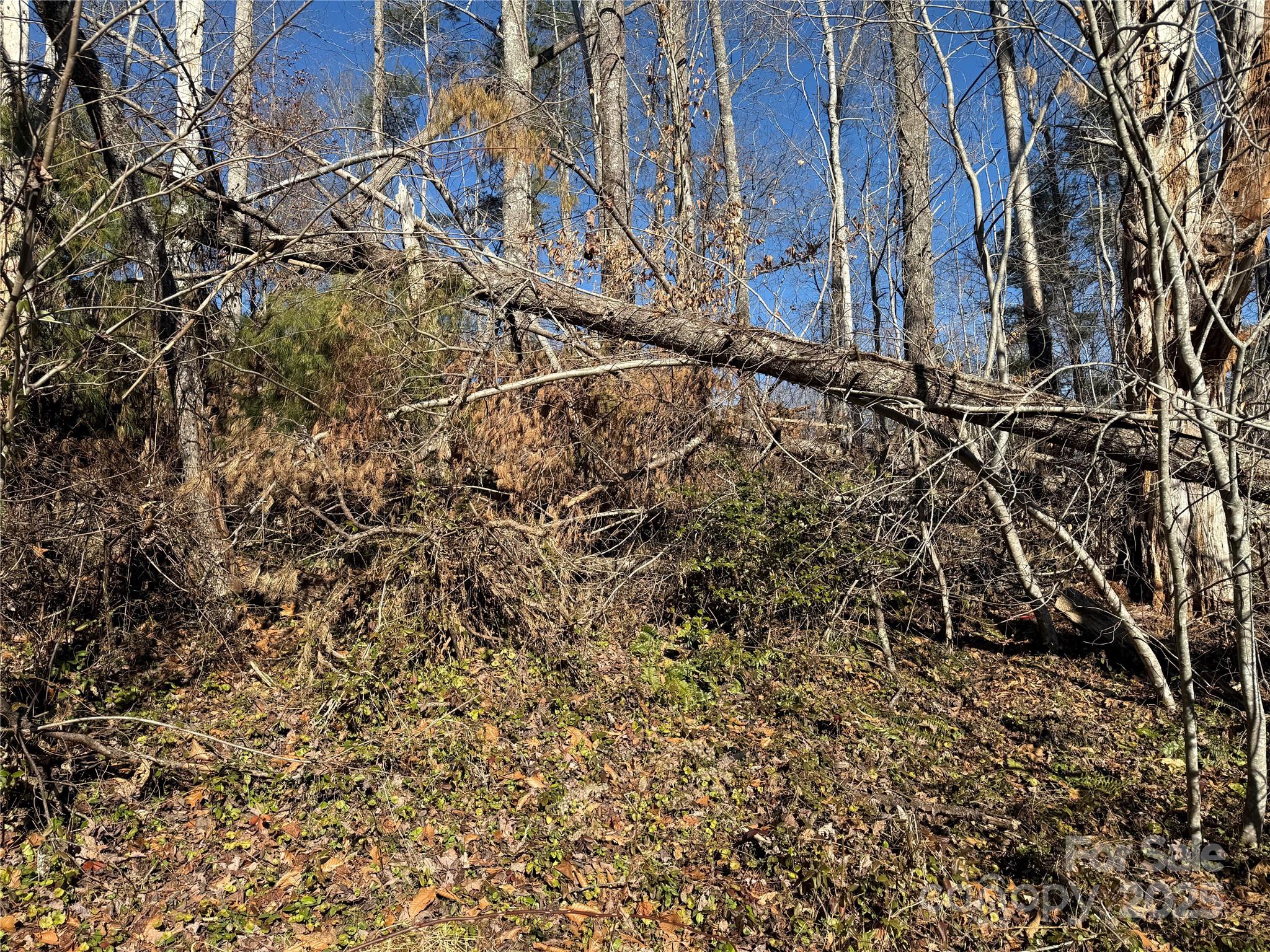 Tbd George Mckinney Circle Spruce Pine NC 28777
