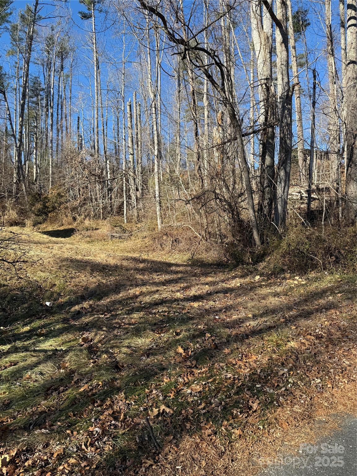 Tbd George Mckinney Circle Spruce Pine NC 28777
