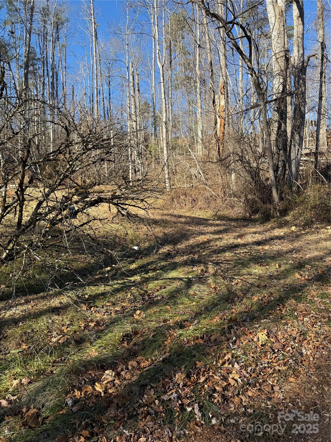 Tbd George Mckinney Circle Spruce Pine NC 28777