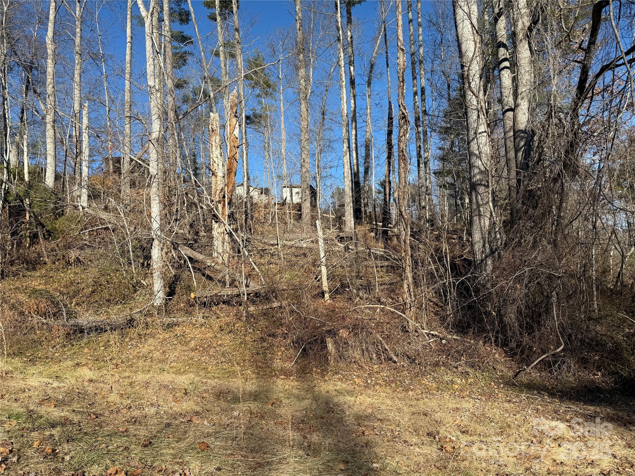 Tbd George Mckinney Circle Spruce Pine NC 28777