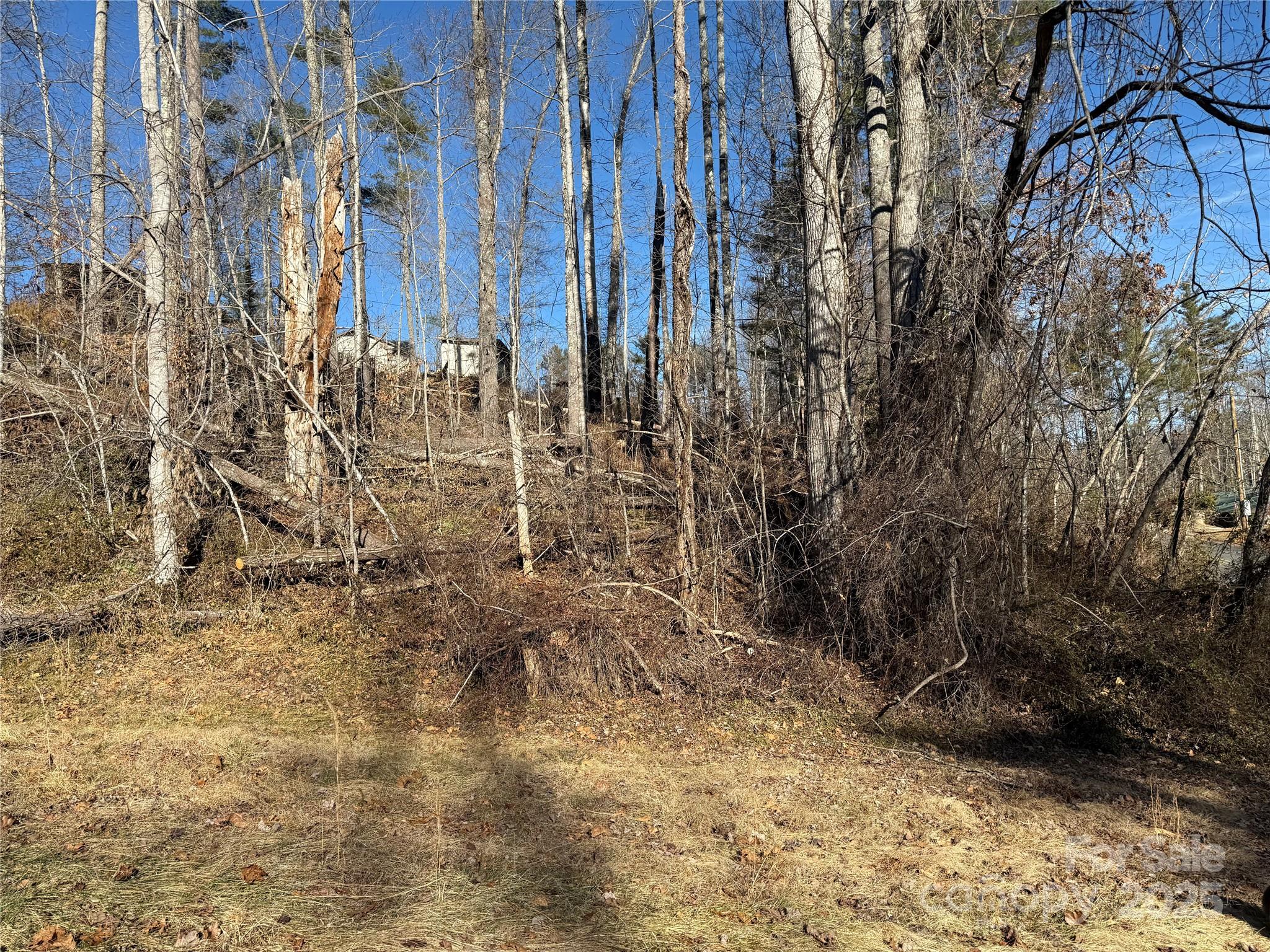 Tbd George Mckinney Circle Spruce Pine NC 28777