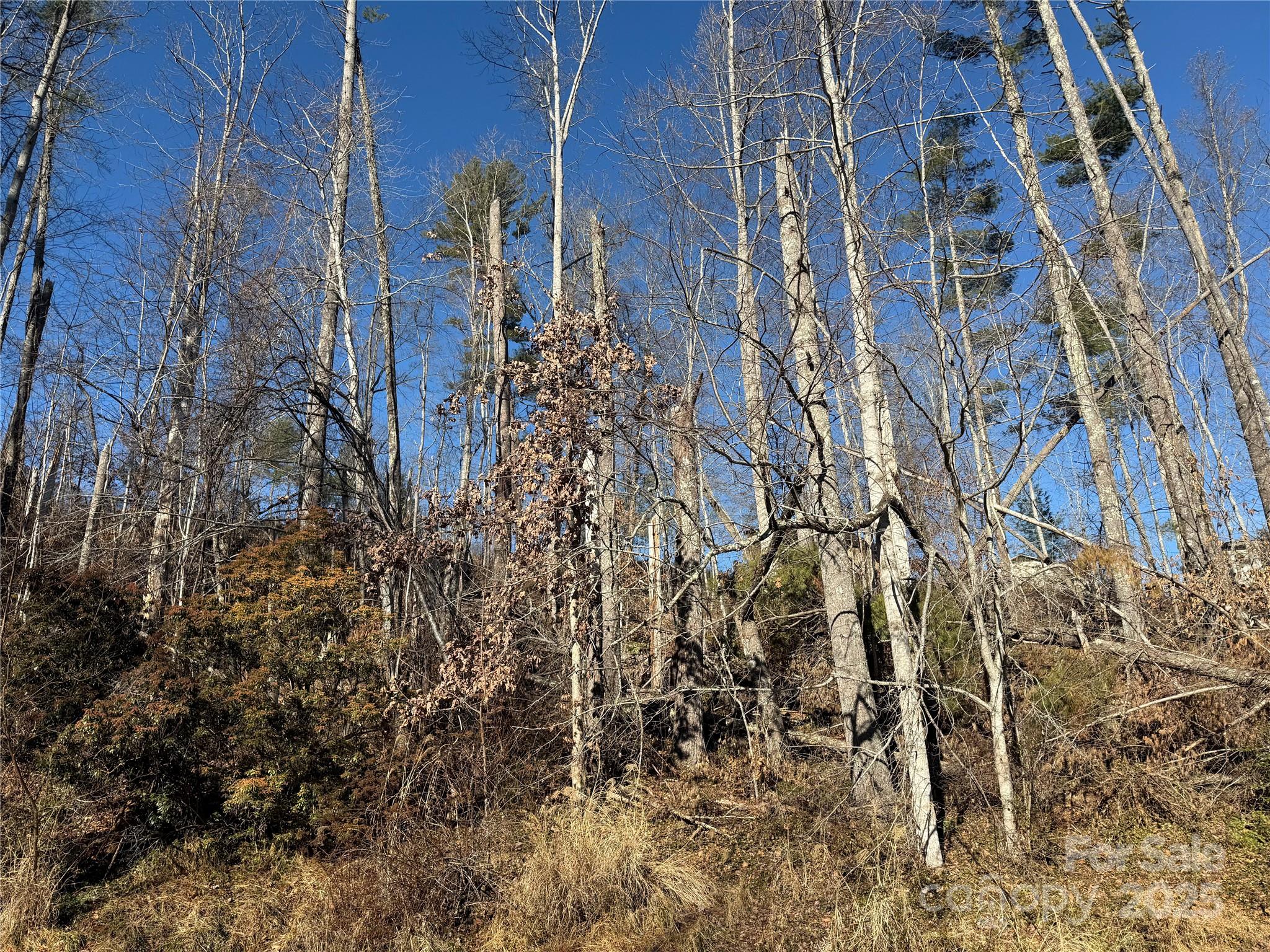 Tbd George Mckinney Circle Spruce Pine NC 28777