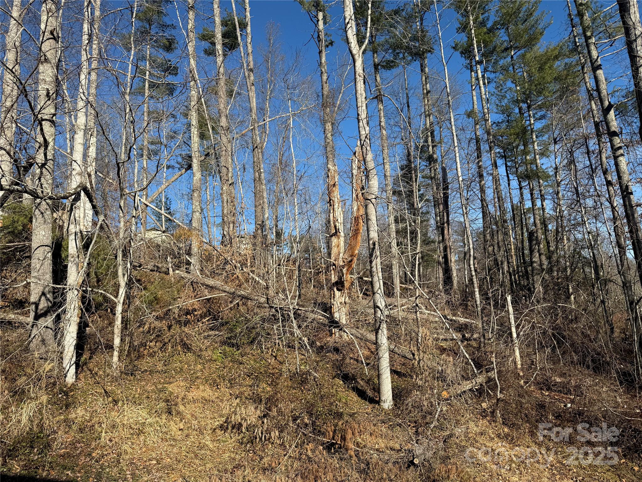 Tbd George Mckinney Circle Spruce Pine NC 28777