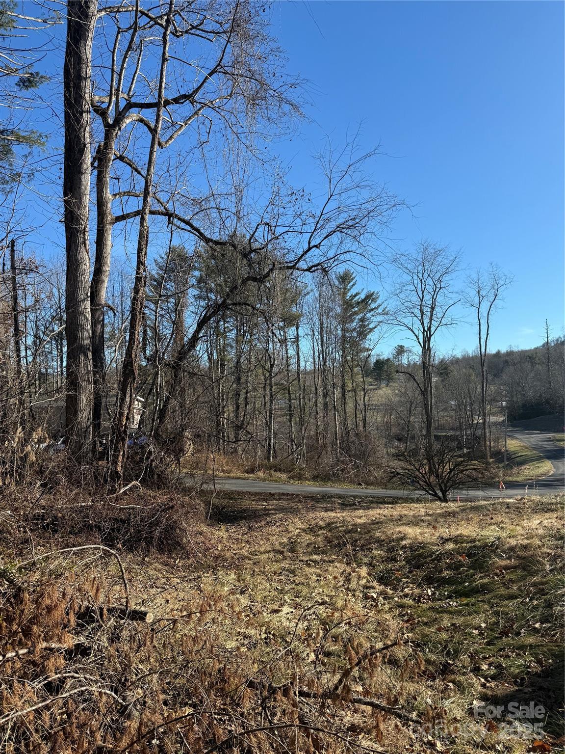 Tbd George Mckinney Circle Spruce Pine NC 28777