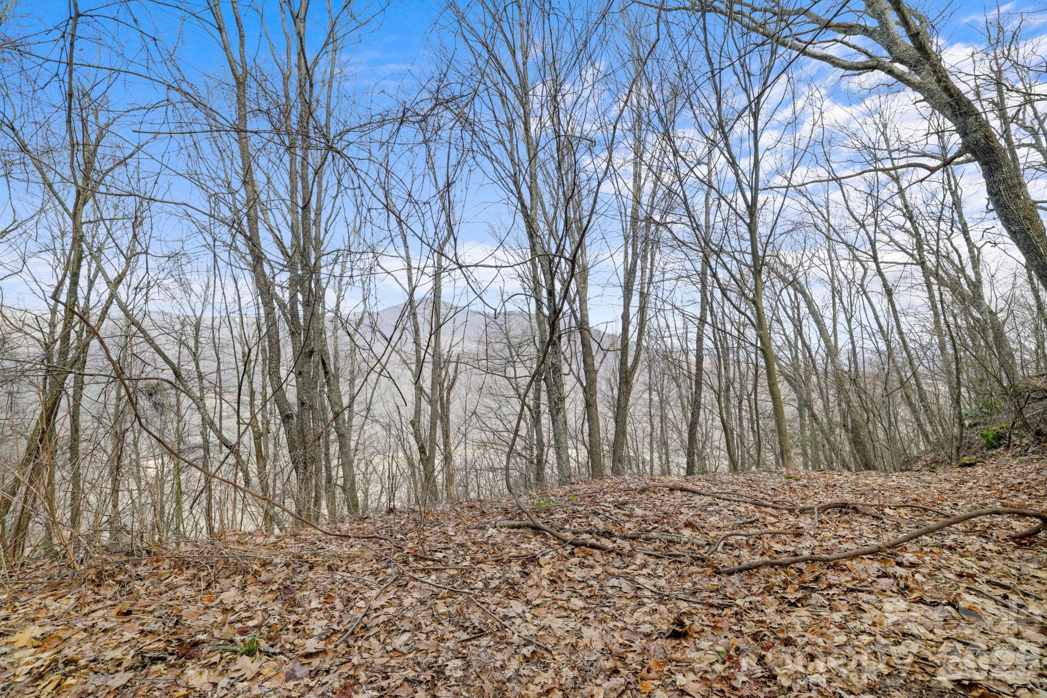 00 Forest Drive Maggie Valley NC 28751