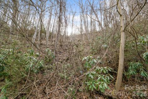 00 Forest Drive Maggie Valley NC 28751