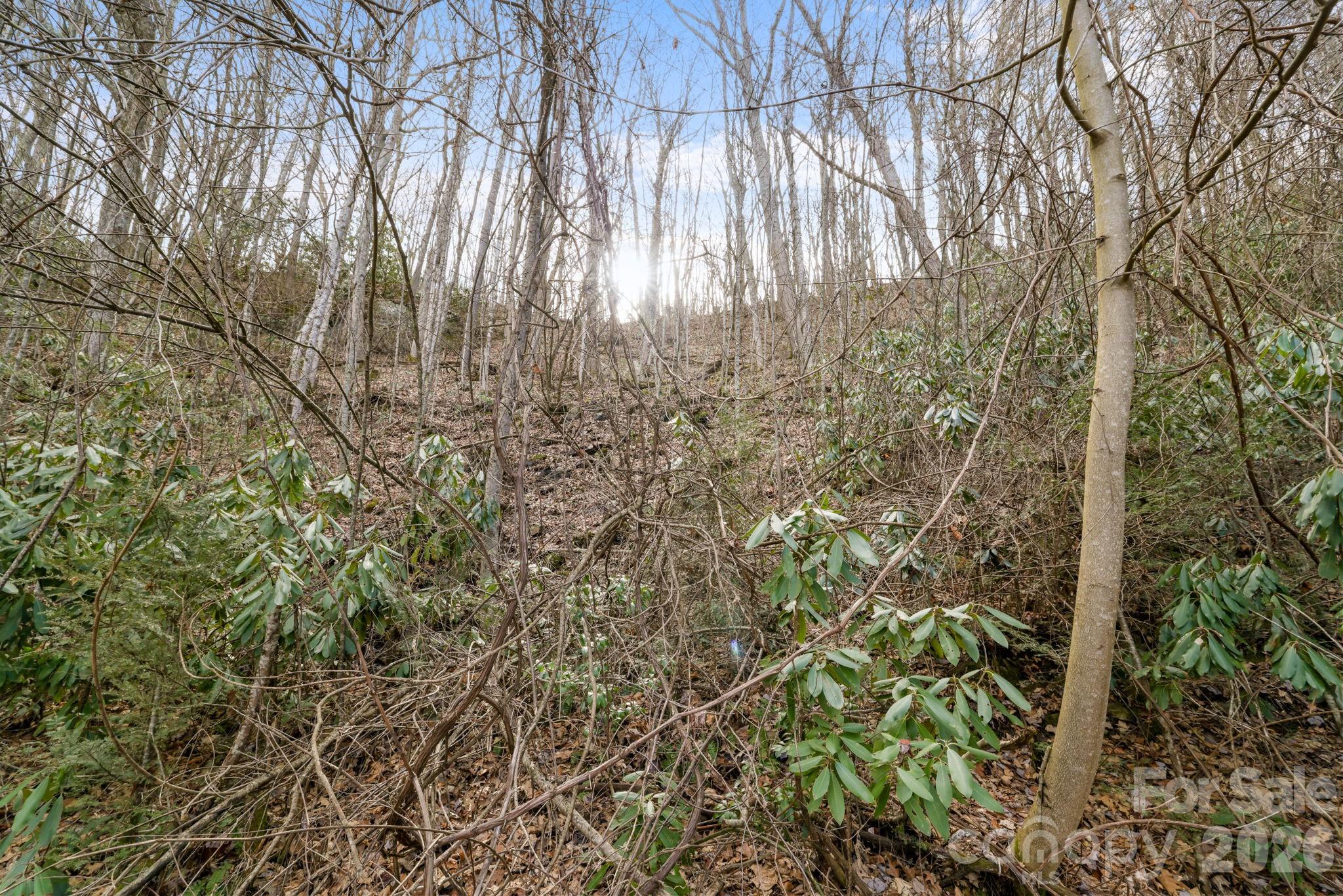 00 Forest Drive Maggie Valley NC 28751