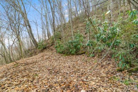 00 Forest Drive Maggie Valley NC 28751