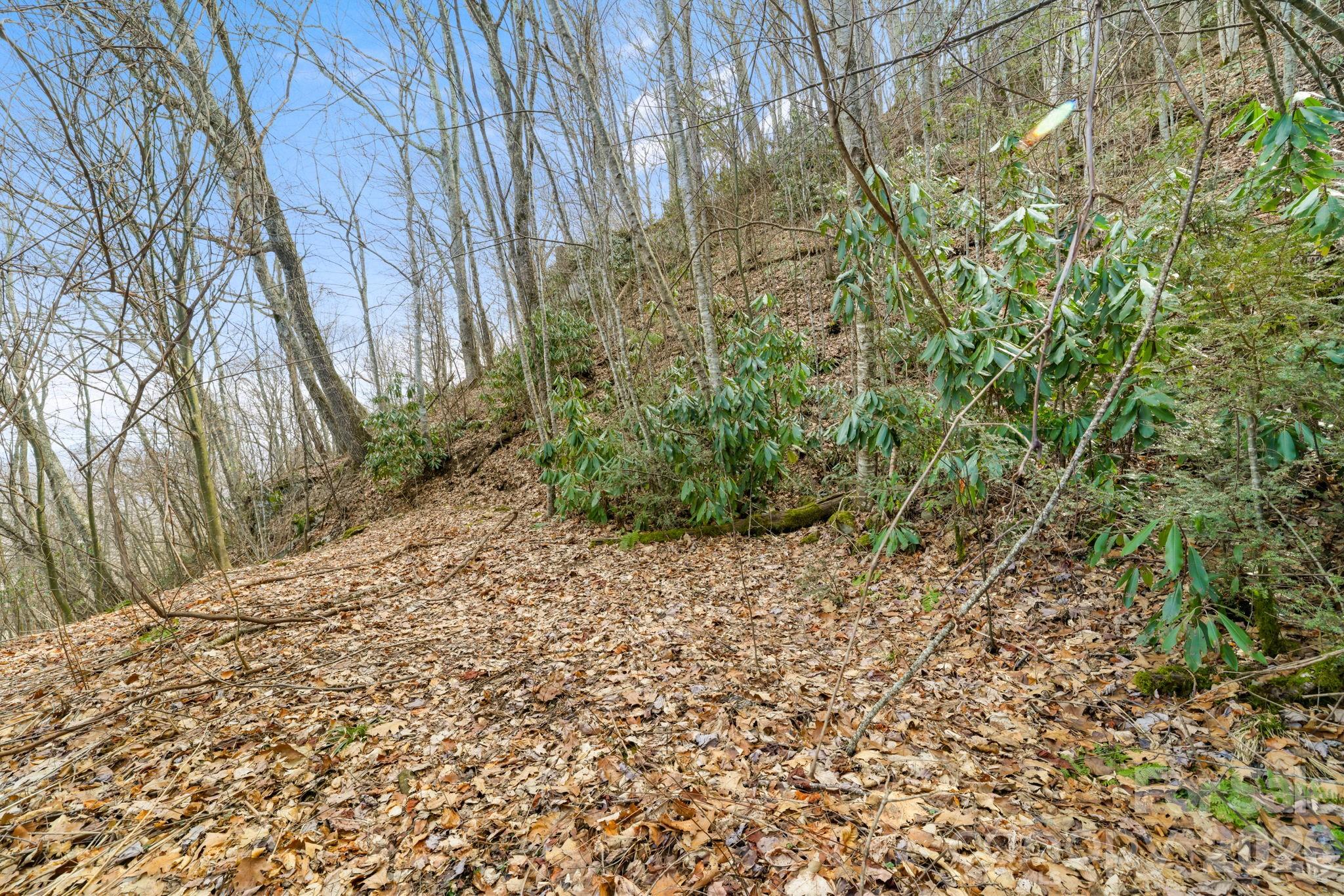 00 Forest Drive Maggie Valley NC 28751
