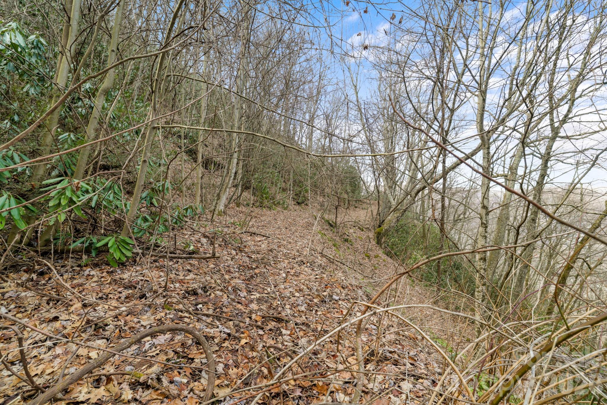 00 Forest Drive Maggie Valley NC 28751