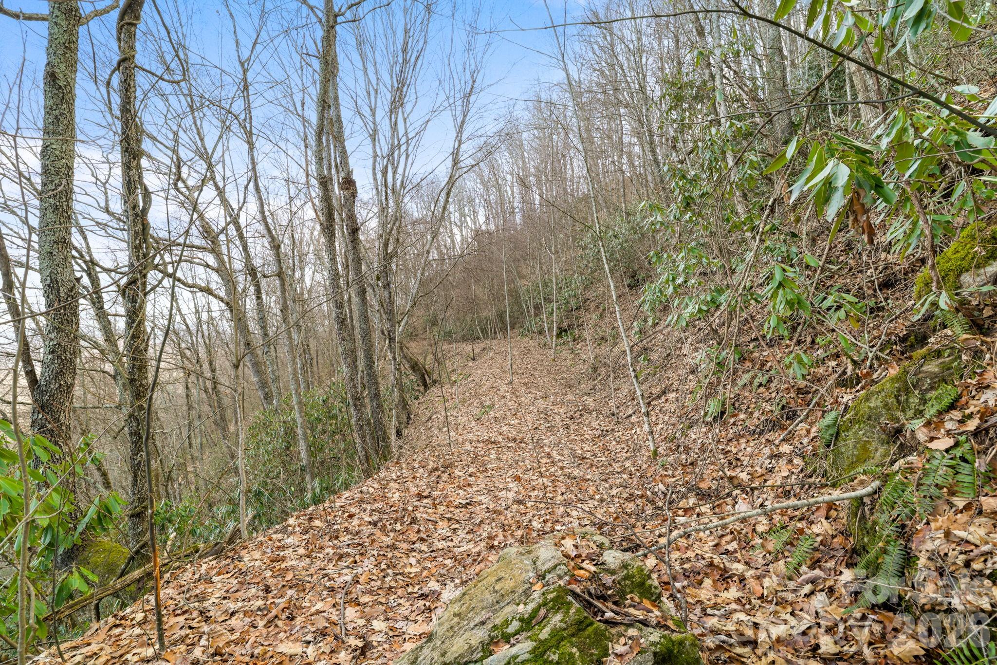 00 Forest Drive Maggie Valley NC 28751