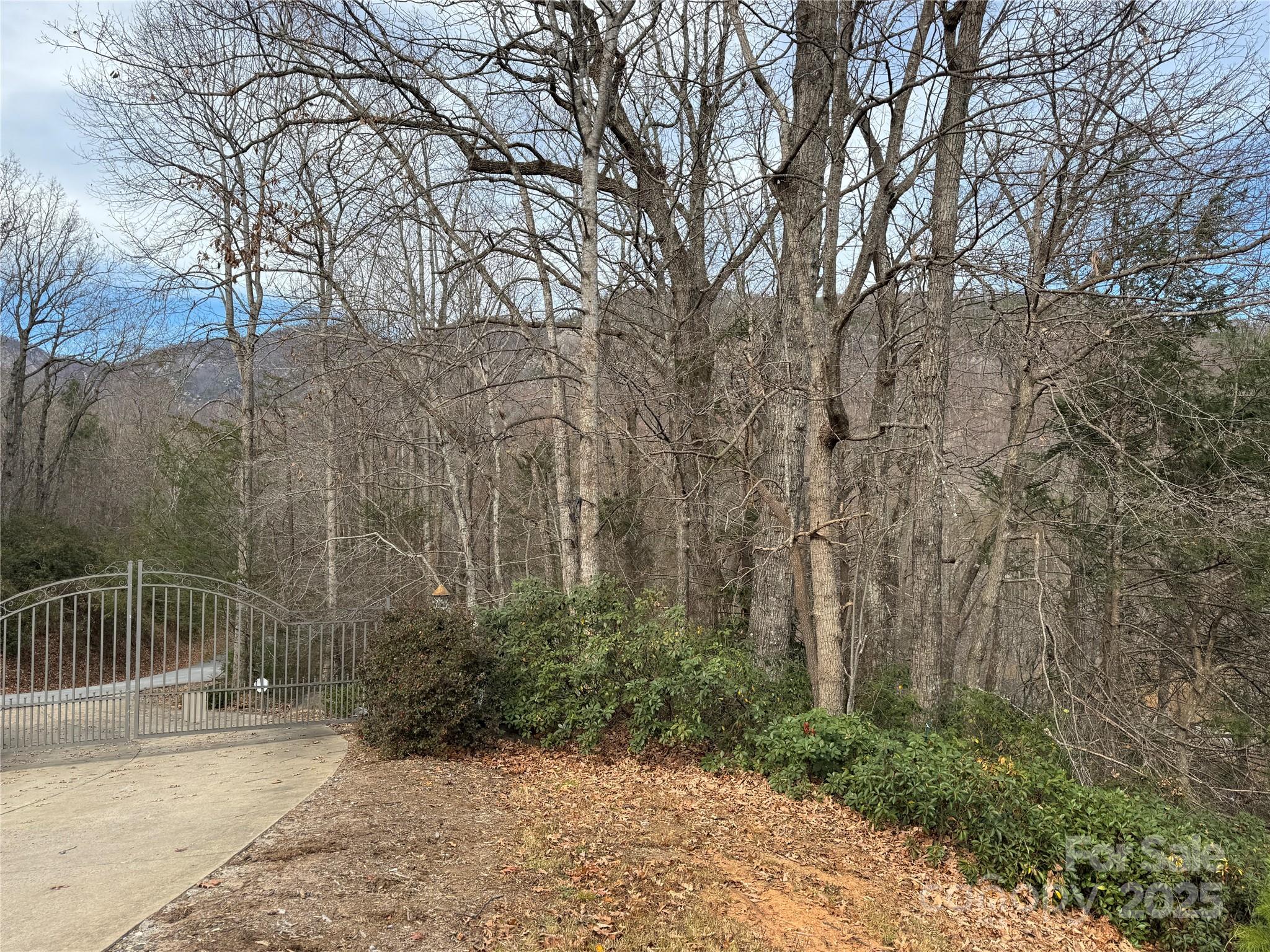0 Deer Trail Lake Lure NC 28746
