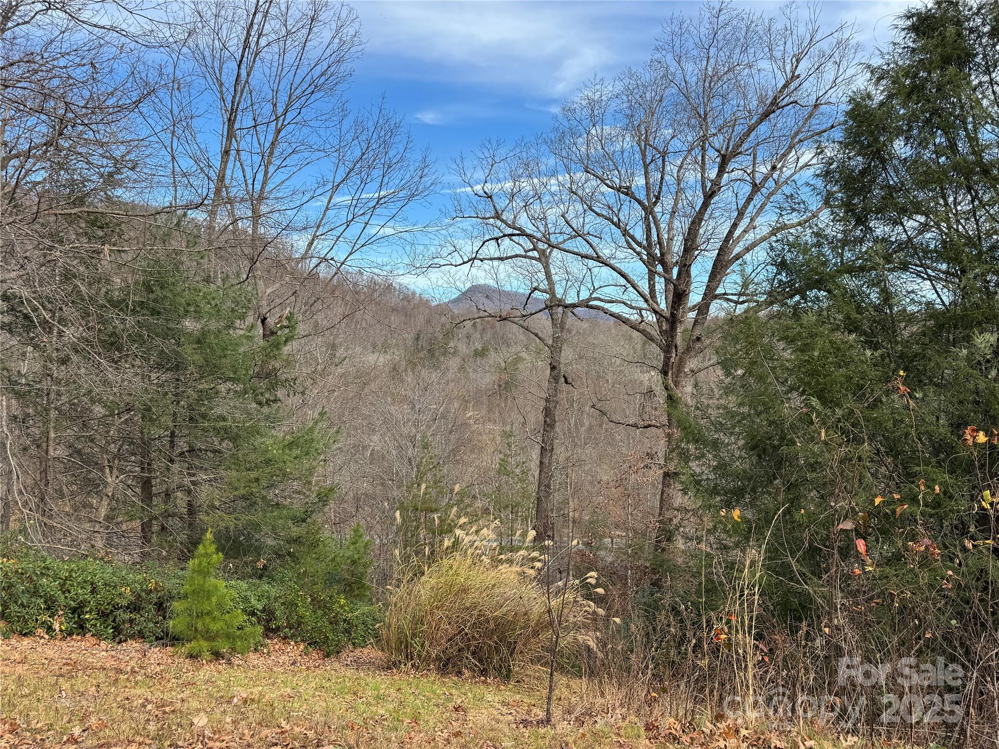 0 Deer Trail Lake Lure NC 28746
