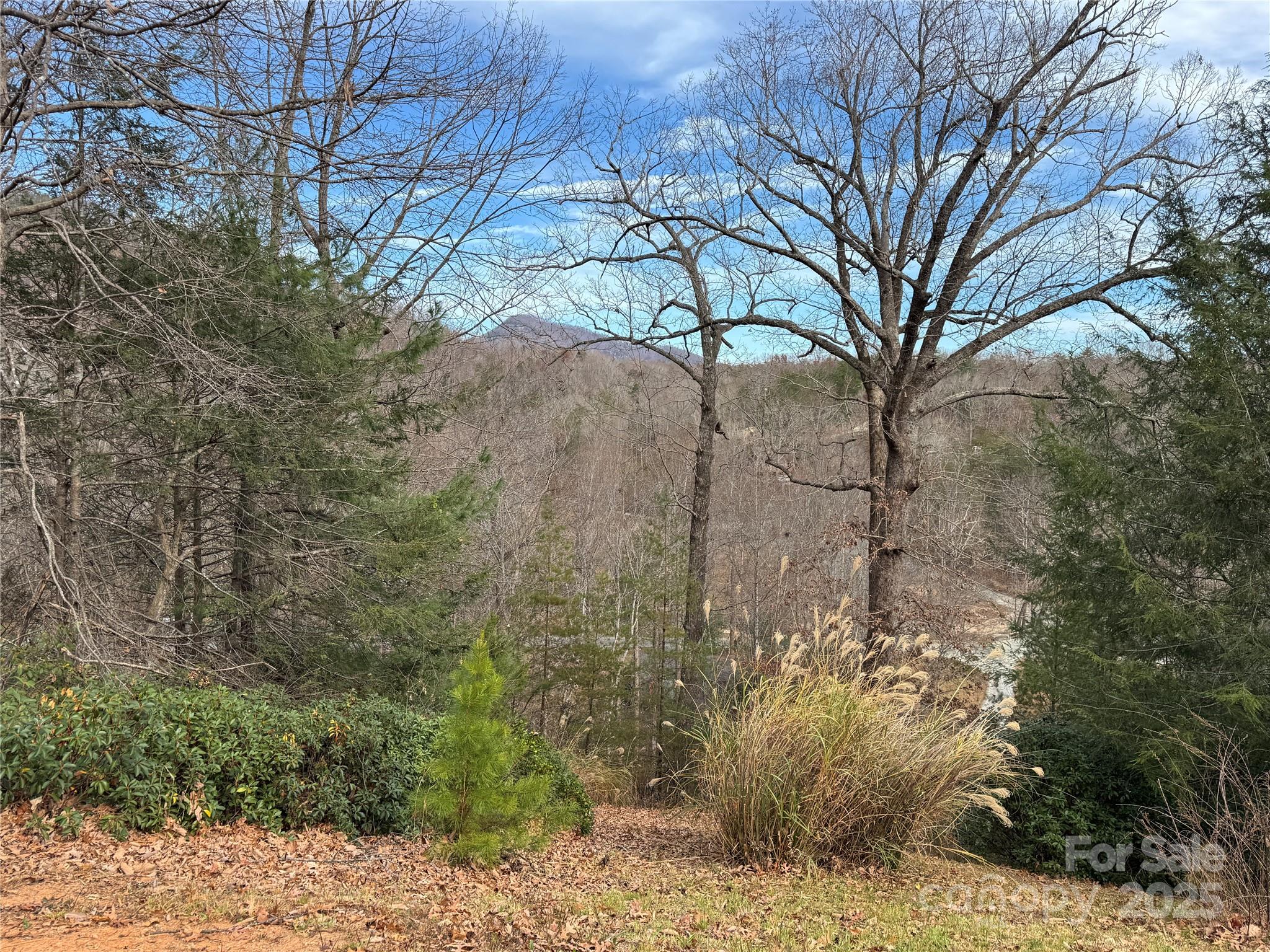 0 Deer Trail Lake Lure NC 28746