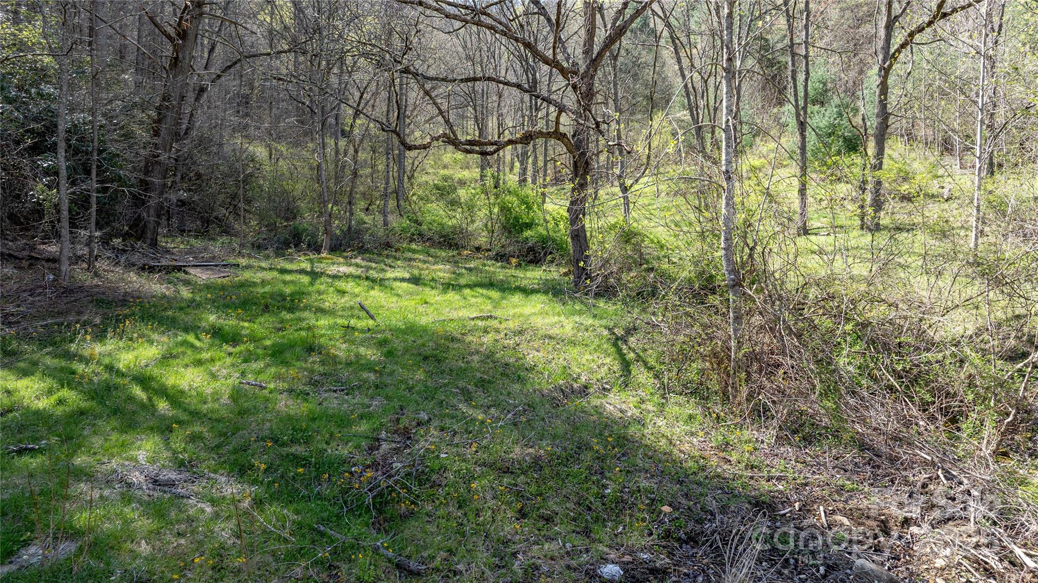 1408 Hamburg Road Mars Hill NC 28754