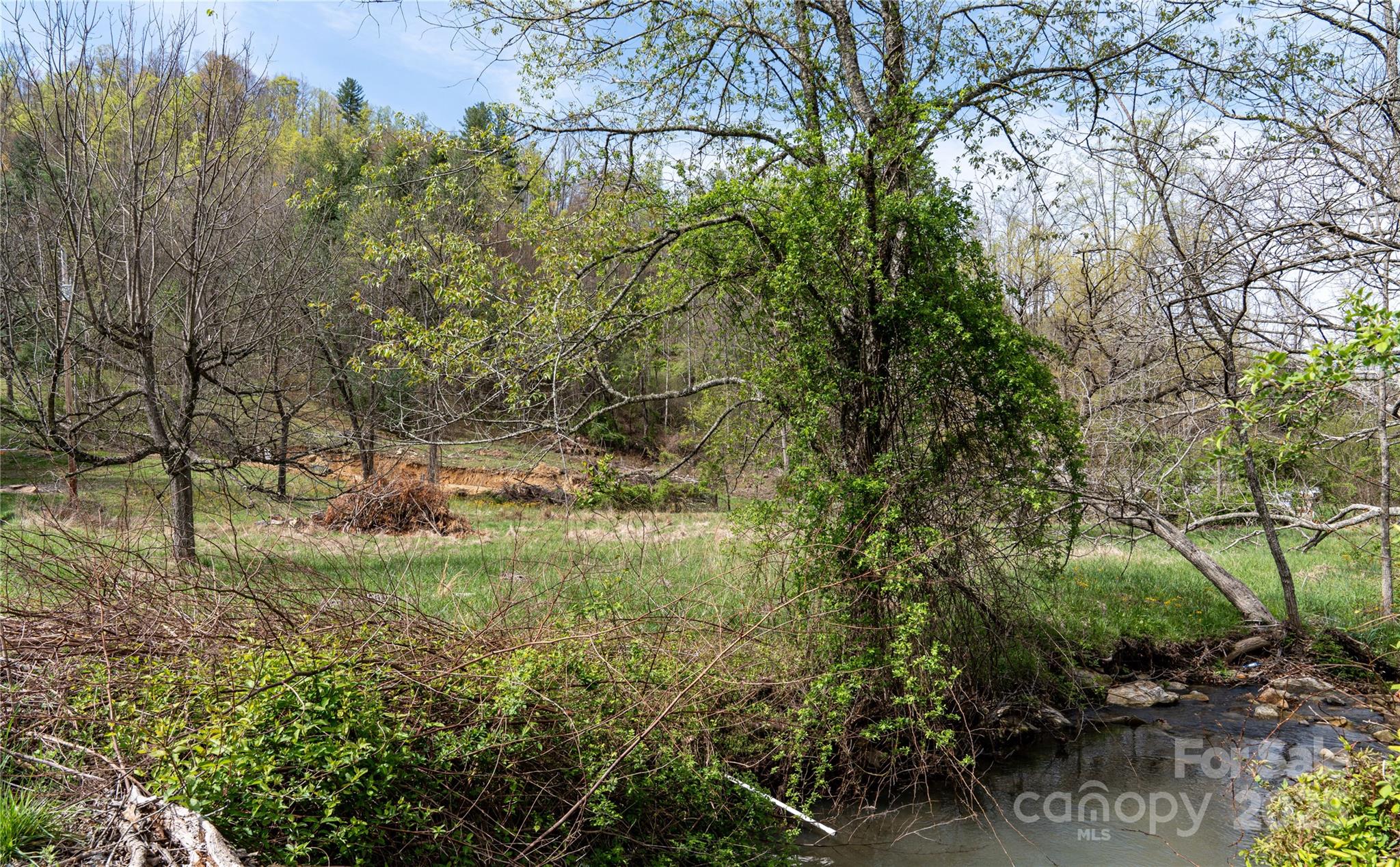 1408 Hamburg Road Mars Hill NC 28754