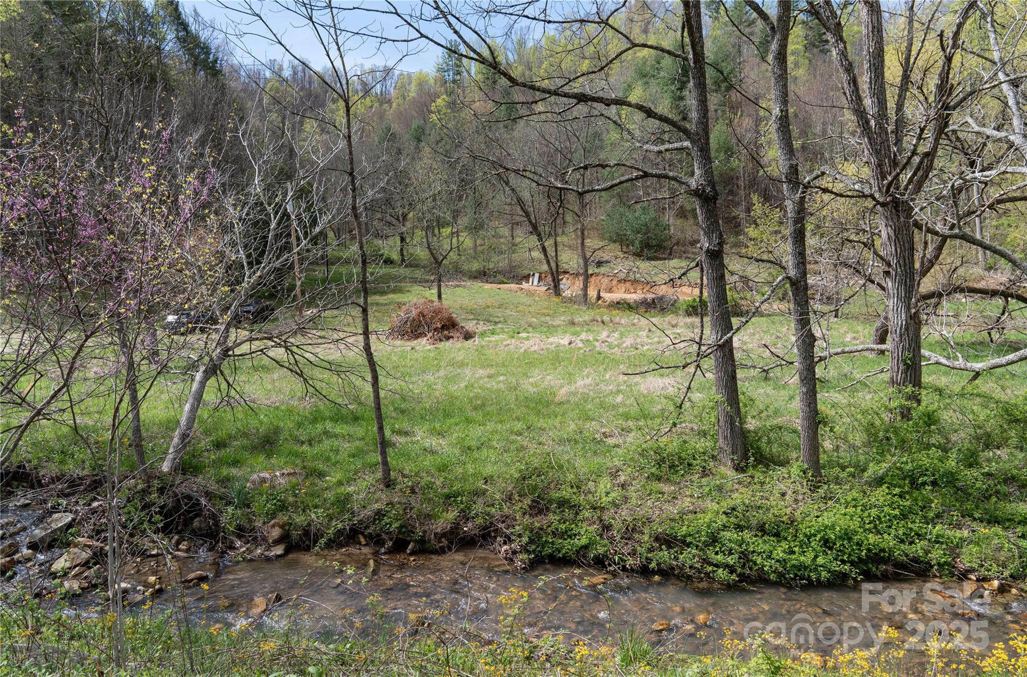 1408 Hamburg Road Mars Hill NC 28754